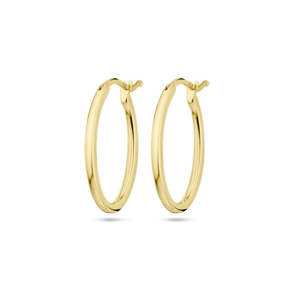 oorringen ovaal 14K geelgoud