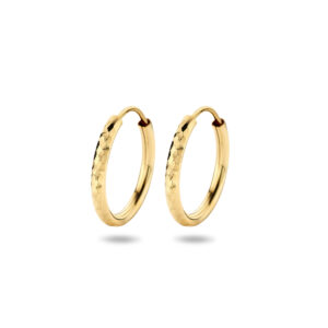 oorringen ronde buis gediamanteerd 16 mm 14K geelgoud