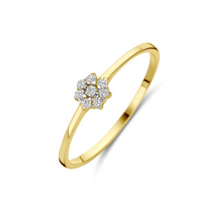 ring zirkonia 14K geelgoud