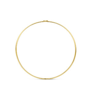 spang collier 3,4 mm 40 cm 14K geelgoud