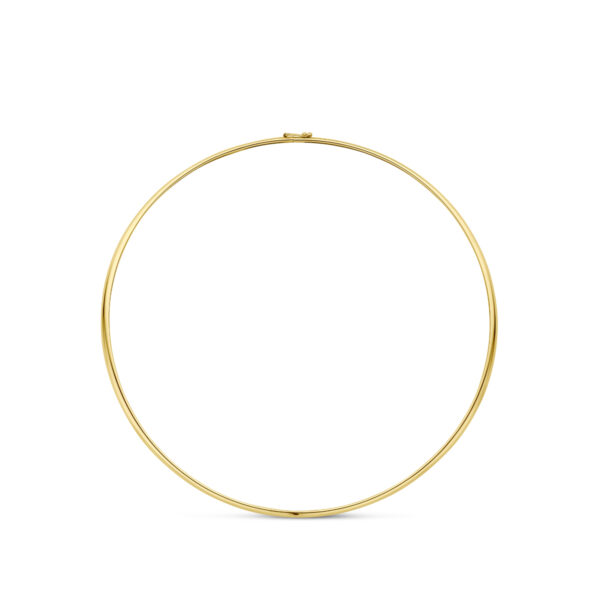 spang collier 3,4 mm 40 cm 14K geelgoud