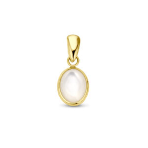 hanger parelmoer 14K geelgoud