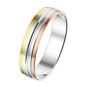 ring al756 - 5 mm - zonder steen goud met zilver
