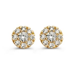 Oorstekers geelgoud briljant 0,80 crt.