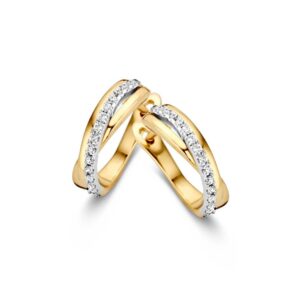 Oorringen bicolor zirkonia