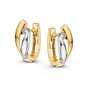 Oorringen bicolor zirkonia