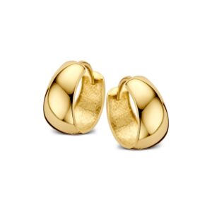 Oorringen geelgoud