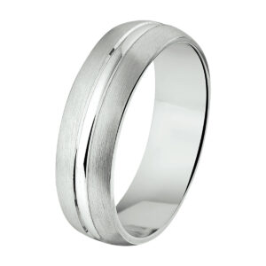 ring a109 - 6 mm - zonder cz zilver gerhodineerd
