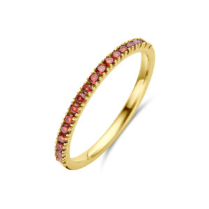 ring met geboortesteen granaat januari 14K geelgoud