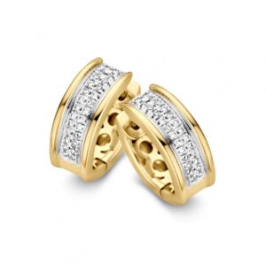 Oorringen bicolor briljant 0,22 crt.