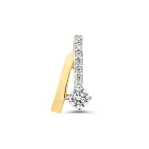 Hanger geelgoud zirkonia