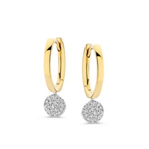 Oorringen bicolor briljant 0,18 crt.