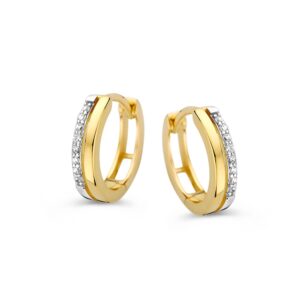 Oorringen bicolor zirkonia