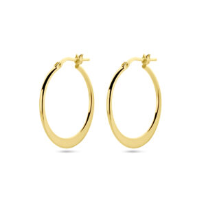 oorringen spitse buis 1 micron zilver verguld (geel)