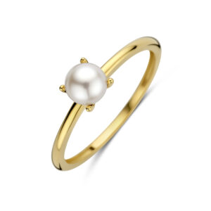 ring parel 14K geelgoud