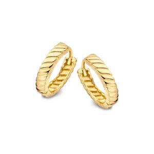 Oorringen geelgoud