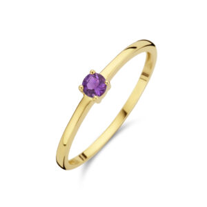 ring met geboortesteen amethist februari 14K geelgoud