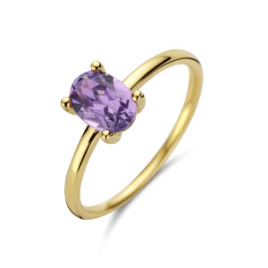 ring amethist 14K geelgoud