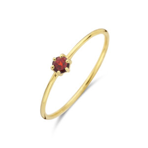 ring met geboortesteen granaat januari 14K geelgoud