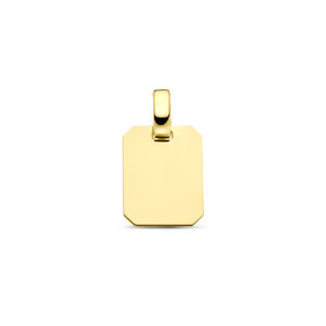 9k graveerhanger 14 mm 9K geel