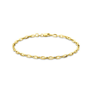 armband anker massief 3,0 mm 19 cm silgold (geel met zilverkern)