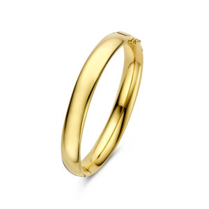 bangle scharnier ovale buis 10 x 60 mm 14K geelgoud