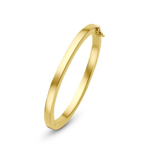 bangle scharnier vlakke buis 5 x 60 mm 14K geelgoud