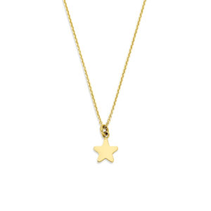 collier ster 40 - 42 - 44 cm 14K geelgoud