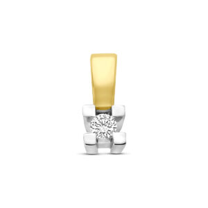hanger diamant 0.05ct h si 9 mm 14K bicolor goud geel/wit