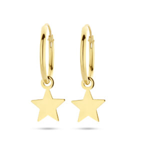 klapoorringen ster 14K geelgoud