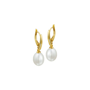 oorhangers parel brisur haak 14K geelgoud