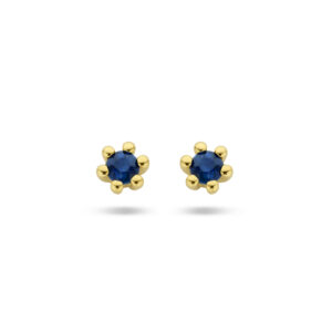 oorknoppen saffier 14K geelgoud