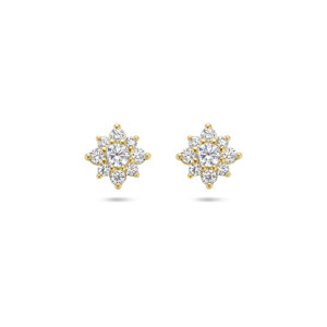 oorknoppen zirkonia rozet 14K geelgoud