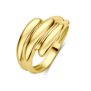 ring 14K geelgoud