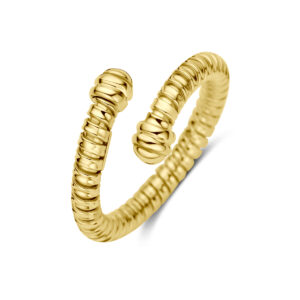 ring 14K geelgoud