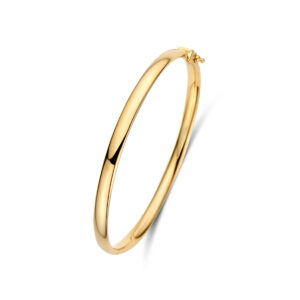 9k bangle scharnier ovale buis 5,0 mm 9K geel