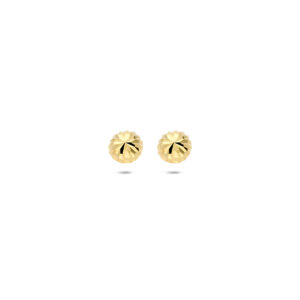 9k oorknoppen gediamanteerd 5 mm 9K geel