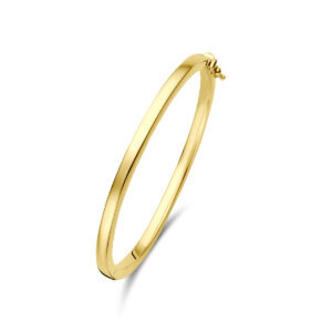 bangle scharnier vlakke buis 4 x 60 mm 14K geelgoud