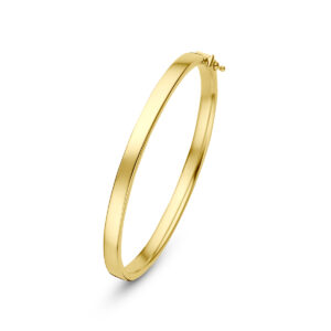 bangle scharnier vlakke buis 5 x 60 mm 14K geelgoud
