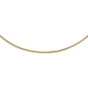 collier spang 2 mm 41 cm 14K geelgoud