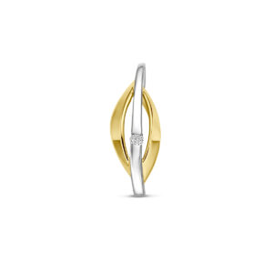 hanger lab grown diamant 0.03ct f vs 21 mm 14K bicolor goud geel/wit