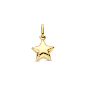 hanger ster 11 mm 14K geelgoud