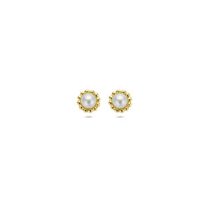oorknoppen parel 5,5 mm 14K geelgoud