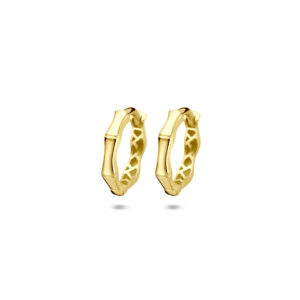 oorringen buis 2,5 mm 14K geelgoud