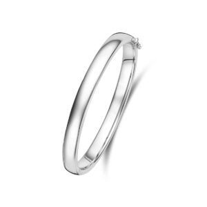 bangle scharnier bolle buis 7 x 60 mm zilver gerhodineerd