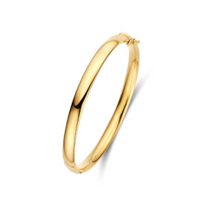 bangle scharnier ovale buis 6 x 60 mm 14K geelgoud