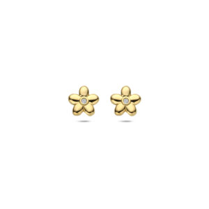oorknoppen bloem zirkonia 5,5 mm 1 micron zilver verguld (geel)