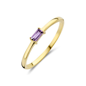 ring met geboortesteen amethist juni 14K geelgoud