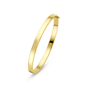 9k bangle scharnier vlakke buis massief 5 x 60 mm 9K geel/zilverkern