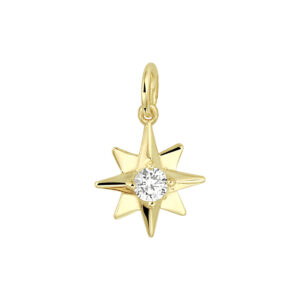 hanger poolster zirkonia 14K geelgoud